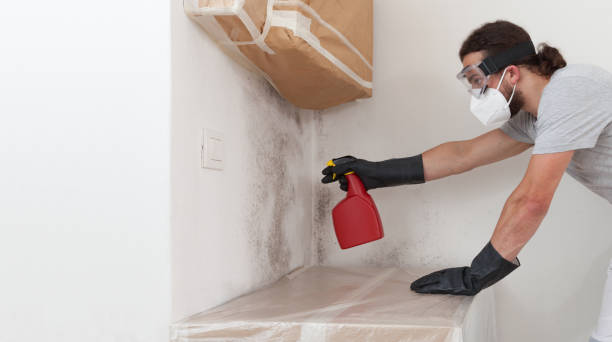 Professional Bathroom Mold Removal technician working in Topsfield, MA